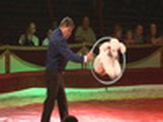 Cirkus Humberto v Bohumíně - zobrazit video