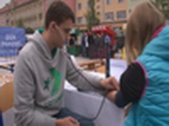 Den řemesel 2015 - show video