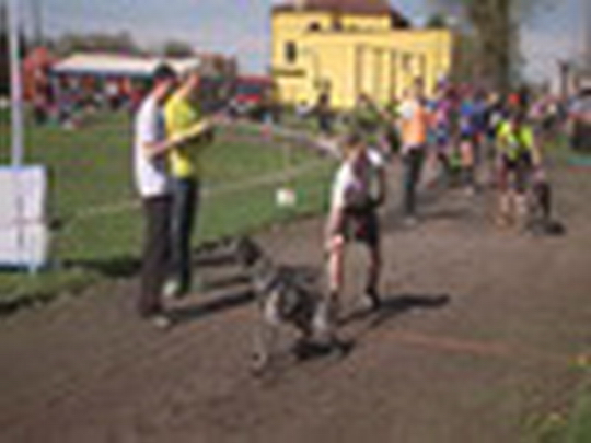 Třetí Bohumínský canicross - zobrazit video