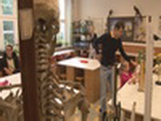 95 let gymnázia - show video