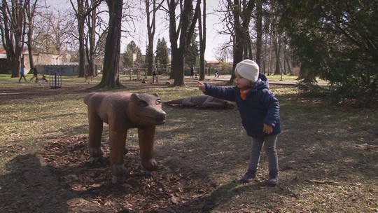 V parku Petra Bezruče se zabydlela dřevěná vlčí smečka - show video