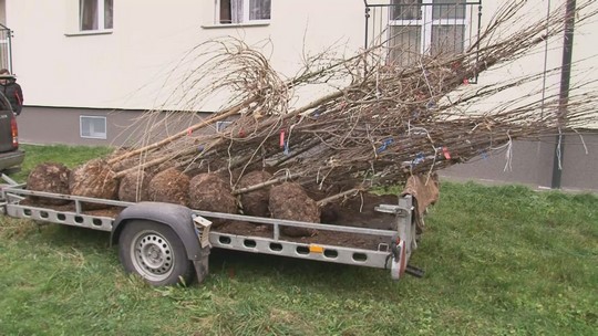 Bohumín letos vysadí nový park a dvě aleje - przedstawić wideo