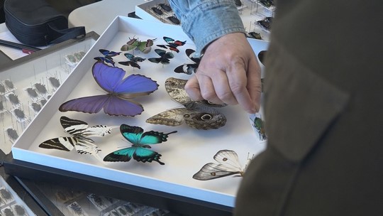 Desátá entomologická výstava ve Starém Bohumíně - przedstawić wideo