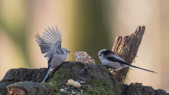 Zdravotnice fotografkou, okouzlila ji příroda - zobrazit video