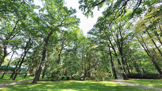Park Petra Bezruča - Zwiedzanie wirtualne