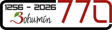 Město Bohumín